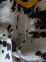 IMG_20250112_123859_web