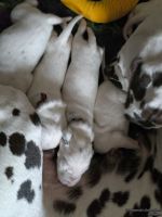 IMG_20250112_123901_web