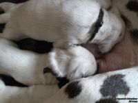 IMG_20250112_123906_web