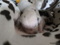 IMG_20250112_123910_web