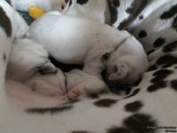 IMG_20250112_123912_web