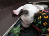 IMG_20250112_123925_web