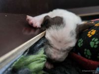 IMG_20250112_123929_web