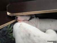 IMG_20250112_123932_web