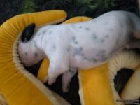 IMG_20250112_123940_web