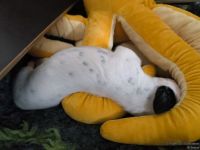 IMG_20250112_123945_web