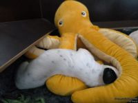 IMG_20250112_123946_web