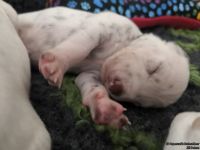 IMG_20250112_123952_web