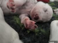 IMG_20250112_123954_web