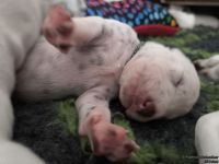 IMG_20250112_123956_web