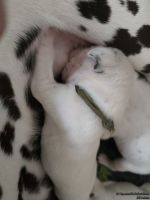 IMG_20250112_124022_web