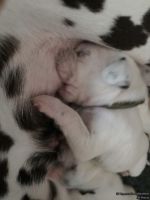 IMG_20250112_124026_web