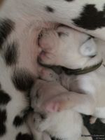 IMG_20250112_124027_web