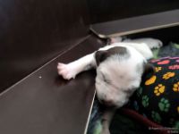 IMG_20250112_124034_web