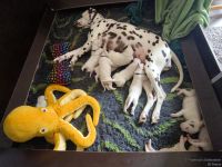 IMG_20250112_140836_web