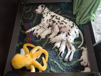 IMG_20250112_140852_web