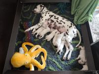 IMG_20250112_140858_web