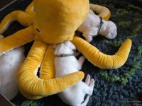 IMG_20250113_101345_web