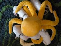 IMG_20250113_101402_web