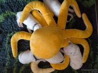 IMG_20250113_101406_web