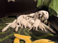 IMG_20250114_083604_web