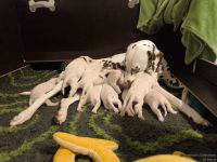 IMG_20250114_083607_web