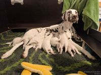 IMG_20250114_083611_web