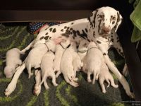 IMG_20250114_083618_web