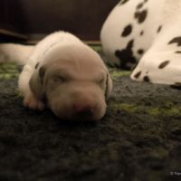 IMG_20250110_224031_web