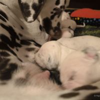 IMG_20250111_220118_web