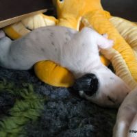 IMG_20250112_123710_web