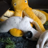 IMG_20250112_123733_web
