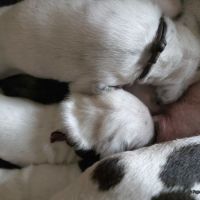 IMG_20250112_123906_web