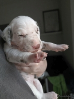 IMG_20250118_121922_web