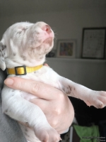 IMG_20250118_121929_web