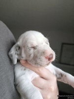 IMG_20250118_121932_web