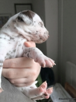 IMG_20250118_122048_web