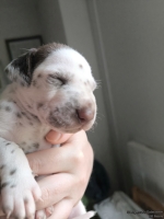 IMG_20250118_122052_web