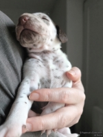 IMG_20250118_122059_web