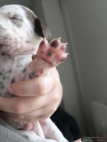 IMG_20250118_122103_web