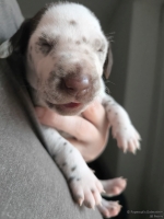 IMG_20250118_122109_1_web