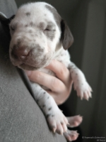 IMG_20250118_122109_web