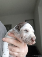 IMG_20250118_122125_web