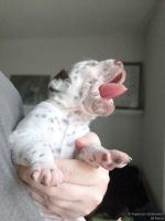 IMG_20250118_122128_web