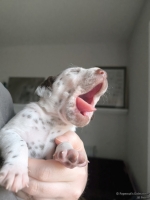 IMG_20250118_122129_web