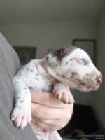 IMG_20250118_122131_web