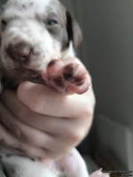 IMG_20250118_122303_web