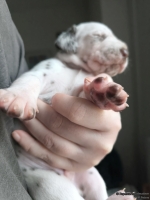 IMG_20250118_122306_web