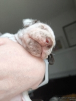 IMG_20250118_122314_web