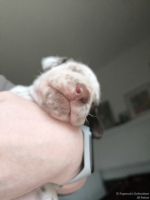 IMG_20250118_122317_web